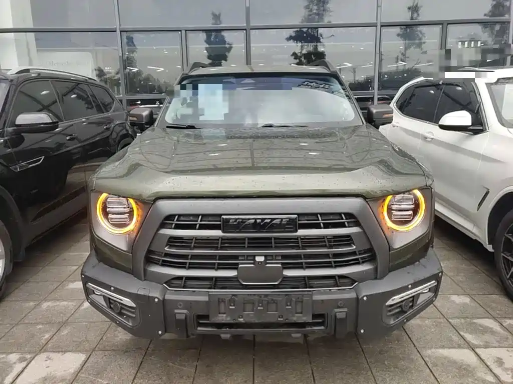 Haval Dargo 2.0 T DCT 4 WD Brilliance Country Dog Hunt