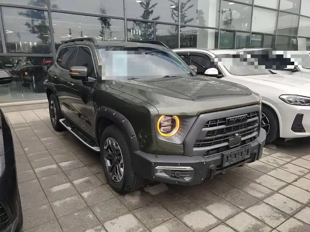 Haval Dargo 2.0 T DCT 4 WD Brilliance Country Dog Hunt