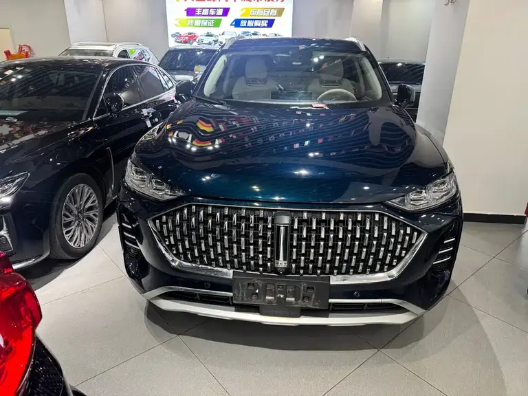 WEY Mocha 2.0 T 2 WD Pure