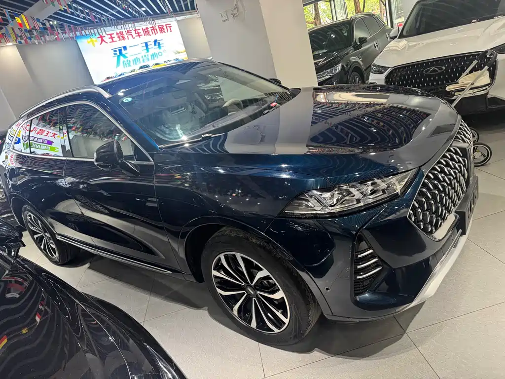 WEY Mocha 2.0 T 2 WD Pure