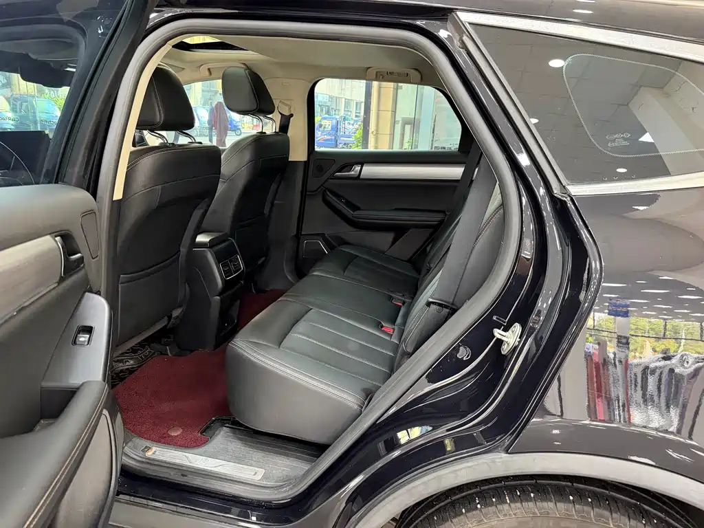 Tang 2.0 T Auto Connected Premium Joy 7-seat CN-V