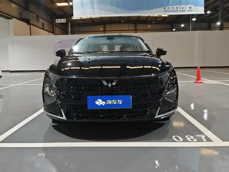 Wuling Starlight 70 km Intelligent Standard