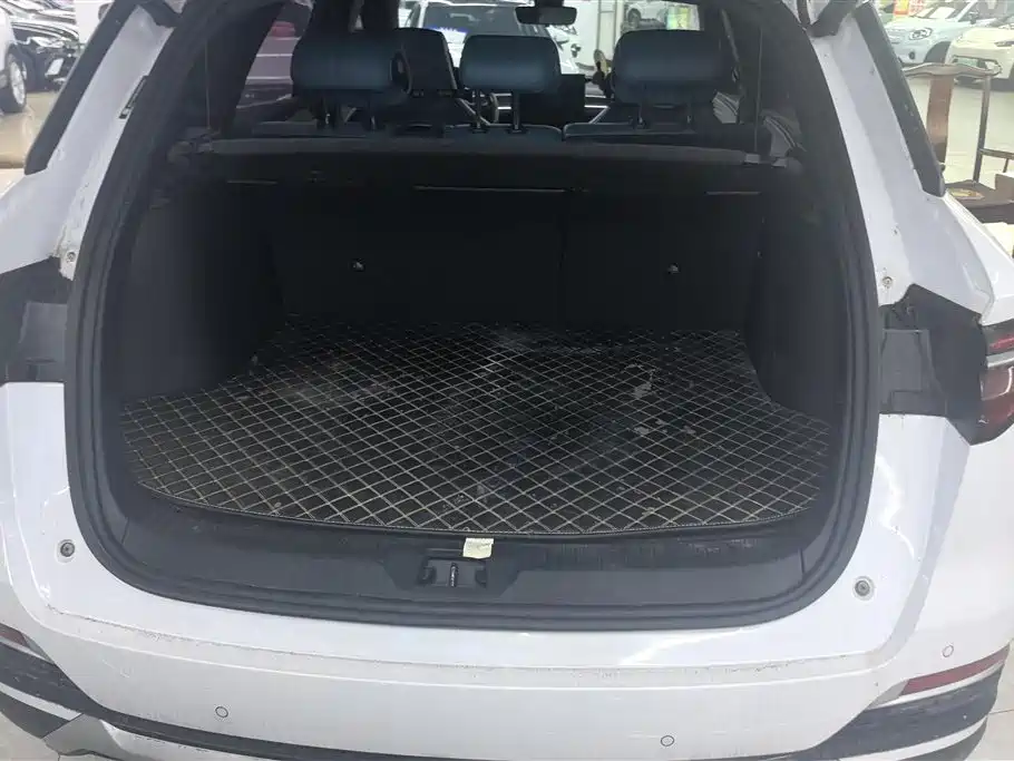 Song Pro 1.5 T Auto Xiaoyun Luxury