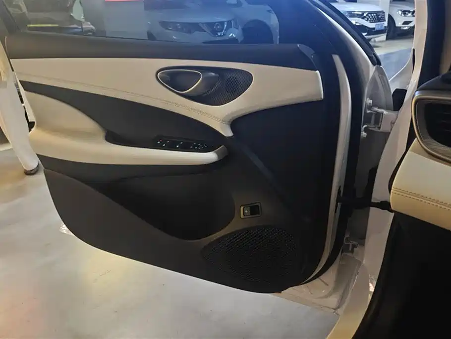 Seal 05 DM-i DM-i Smart Drive 55 KM Luxury