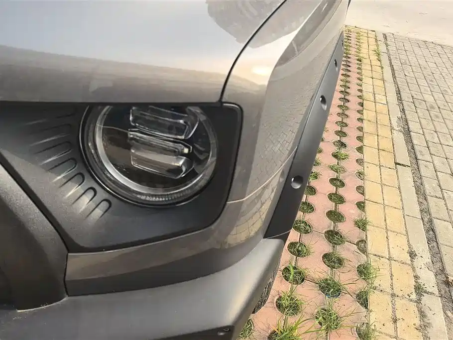 Haval Dargo 2.0 T DCT 4 WD Howling Dog Hunt