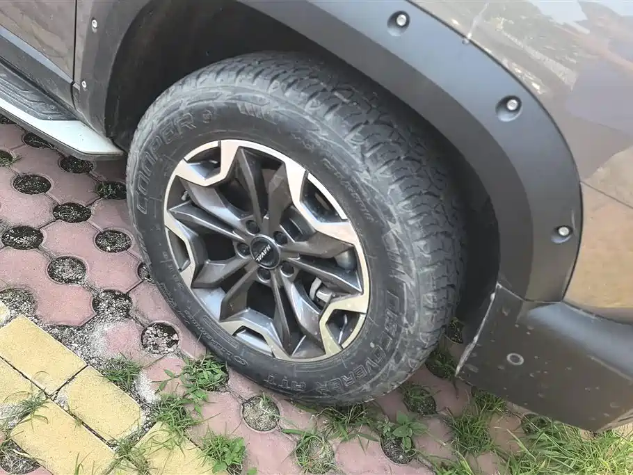 Haval Dargo 2.0 T DCT 4 WD Howling Dog Hunt