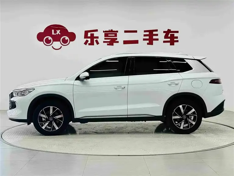 BYD Song Pro NEV Glory DM-i 71 KM Leading