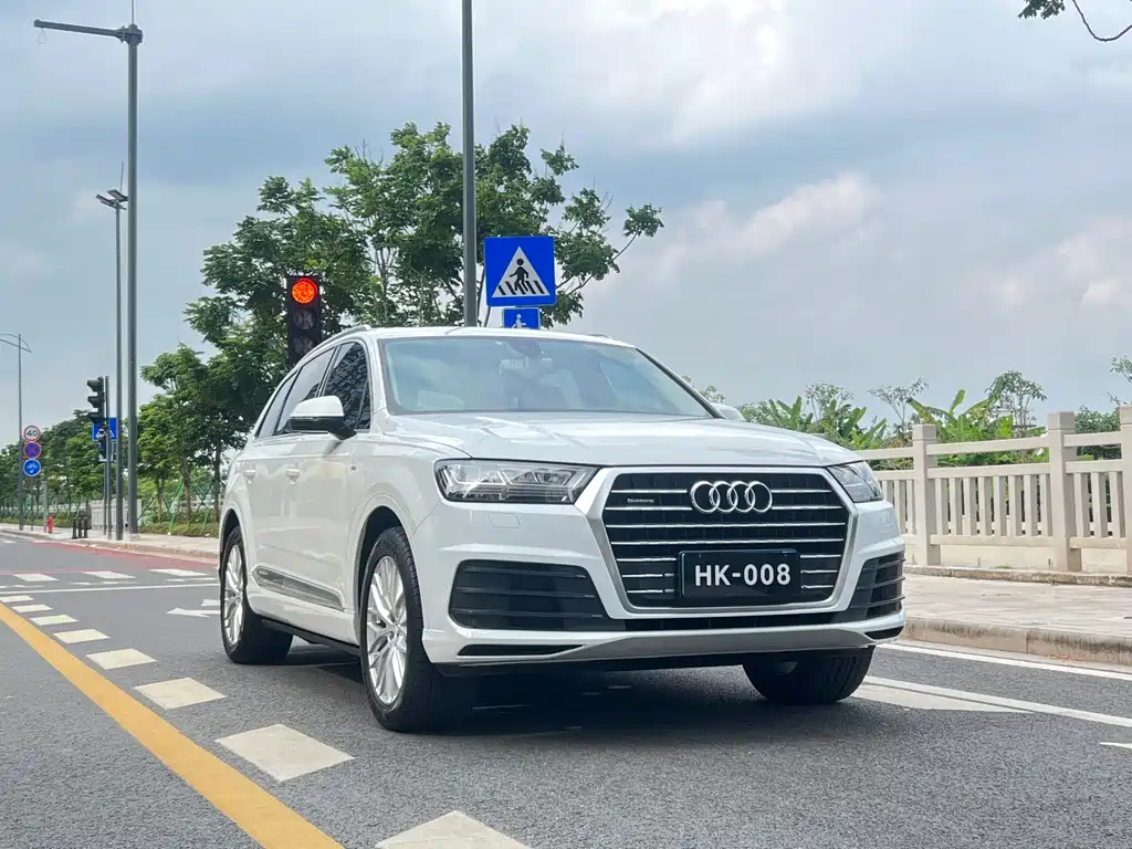 Audi Q7 45 TFSI S line Sport