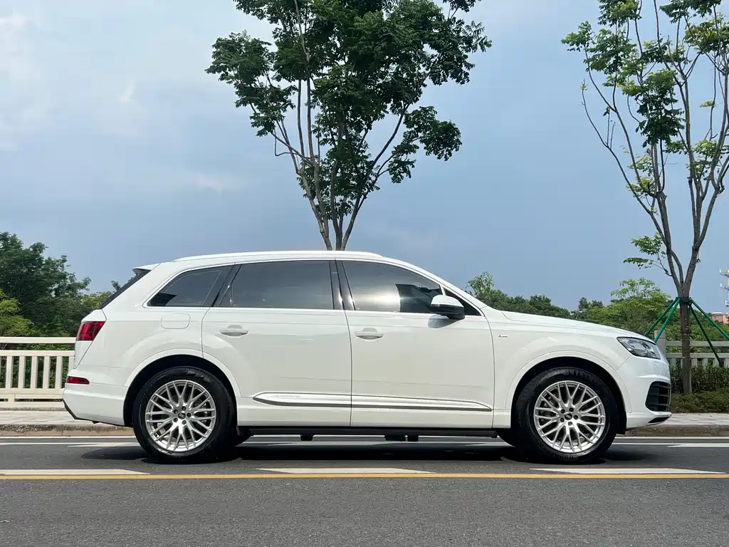 Audi Q7 45 TFSI S line Sport