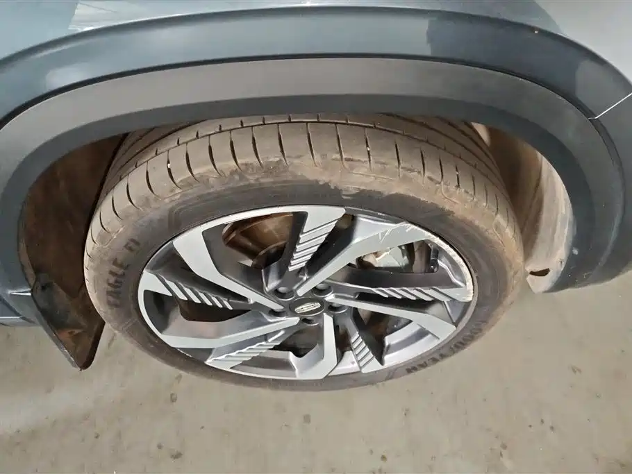 Xingyue L 2.0 TD High Power Auto 2 WD Skyline