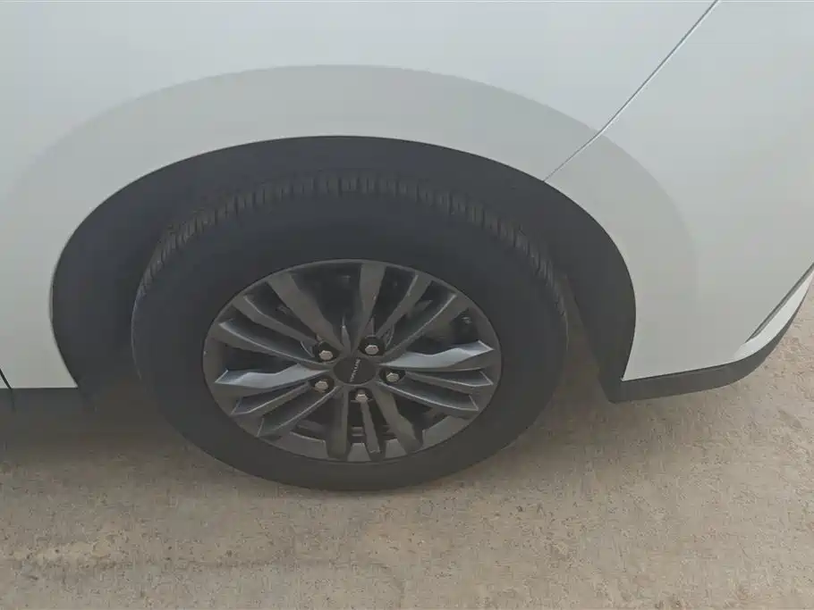 Maxus G50 1.5 T Manual Cruise B