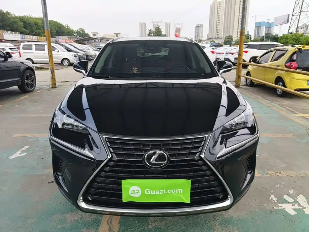 Lexus NX 雷克萨斯NX 2018款 200 全驱 锋尚版 国VI