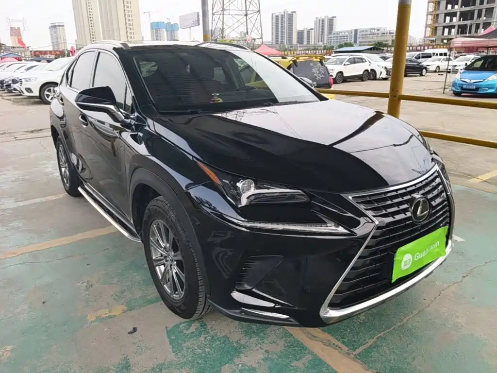 Lexus NX 雷克萨斯NX 2018款 200 全驱 锋尚版 国VI