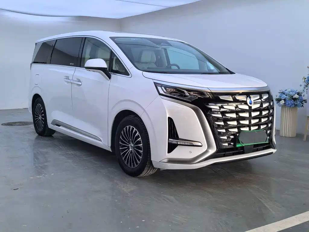 Denza D9 DM-i 1050 Premium