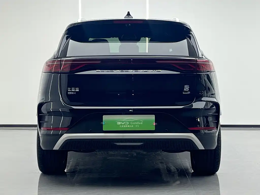 Tang NEV Smart Drive DM-i 115 KM Flagship