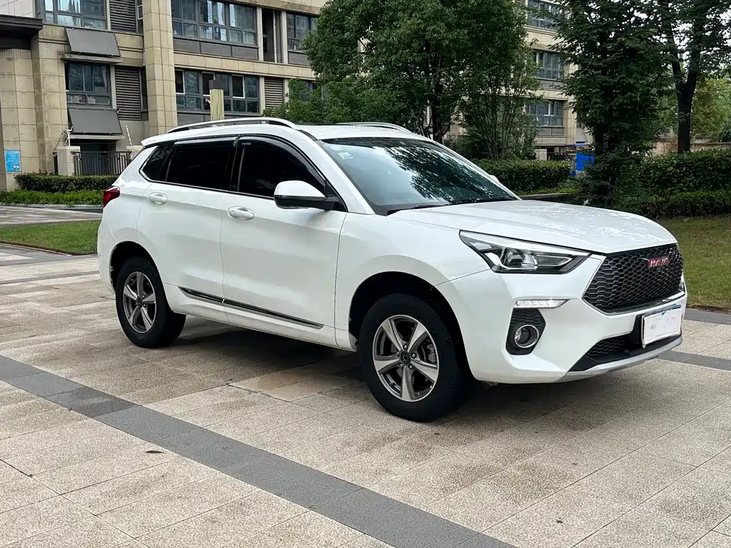 Haval H6 Coupe Red Label 1.5 T Auto 2 WD Luxury