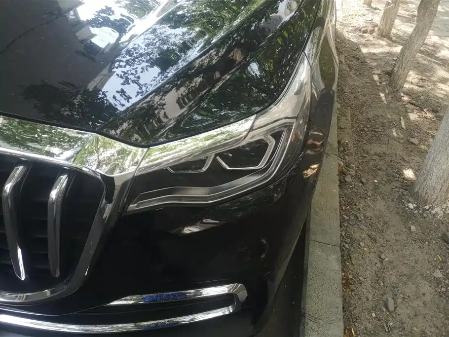 Hongqi HS7 红旗HS7 2021款 2.0 T DCT两驱智联旗畅版