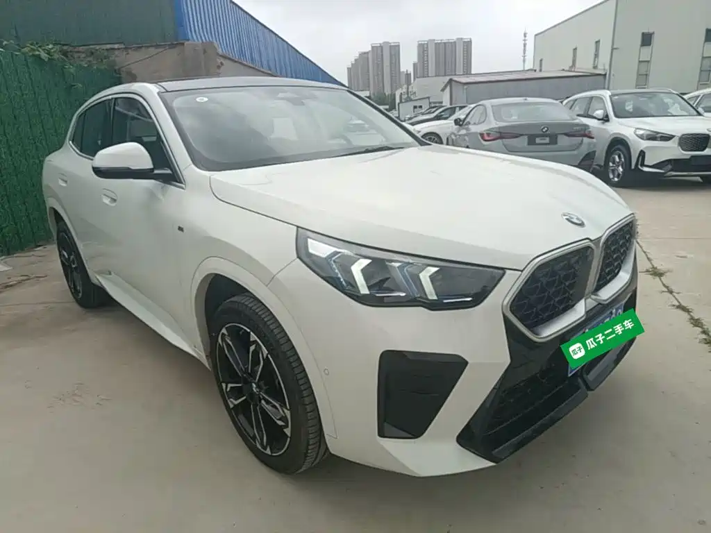 BMW X2 (Import) sDrive25 i M Sport Package