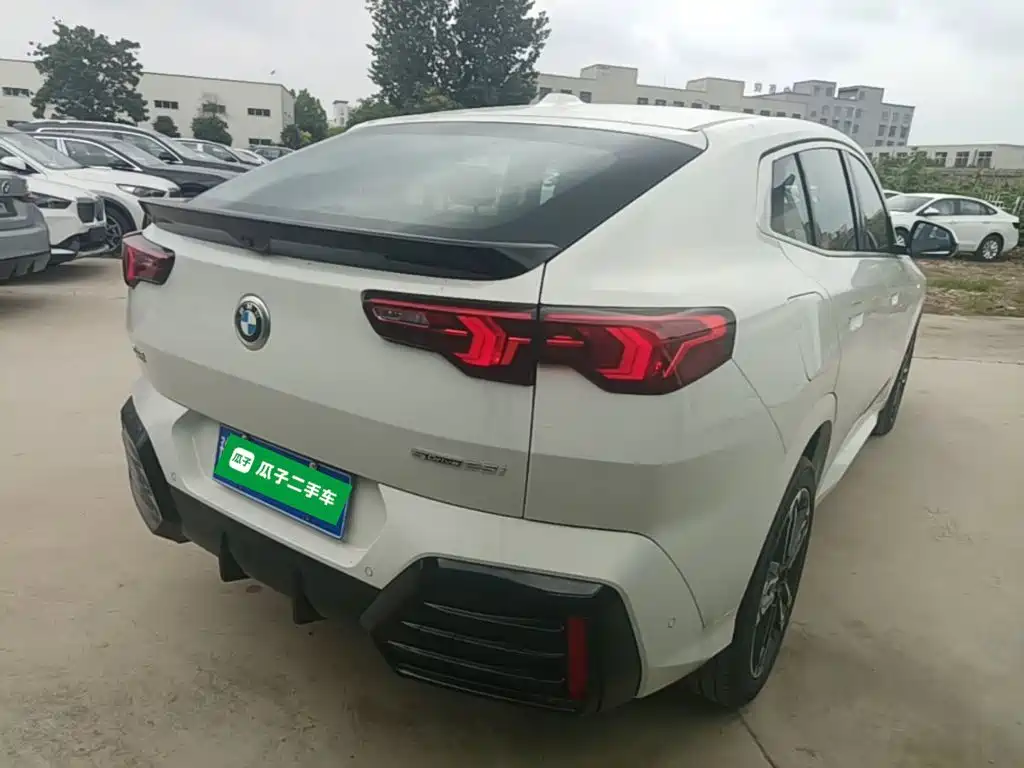 BMW X2 (Import) sDrive25 i M Sport Package