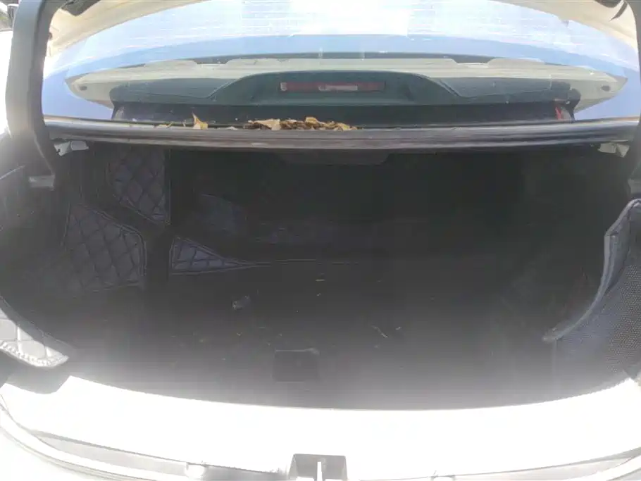 Qin NEV 1.5 T 100