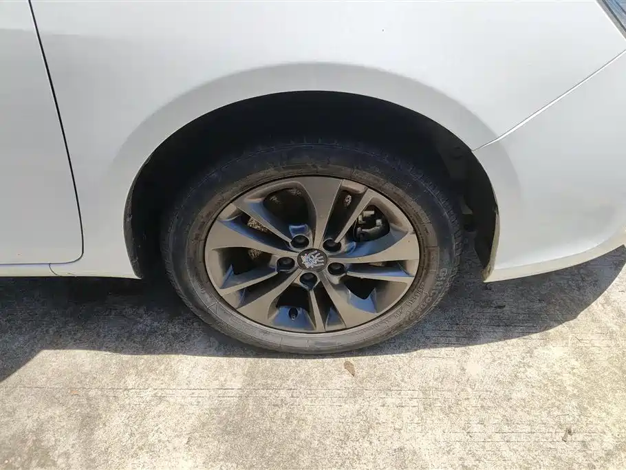 Qin NEV 1.5 T 100