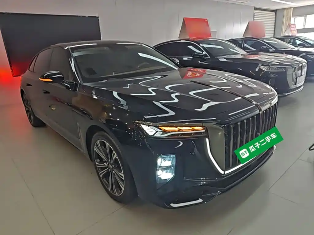 Hongqi H9 2.0 T Flagship Enjoyment Private Style