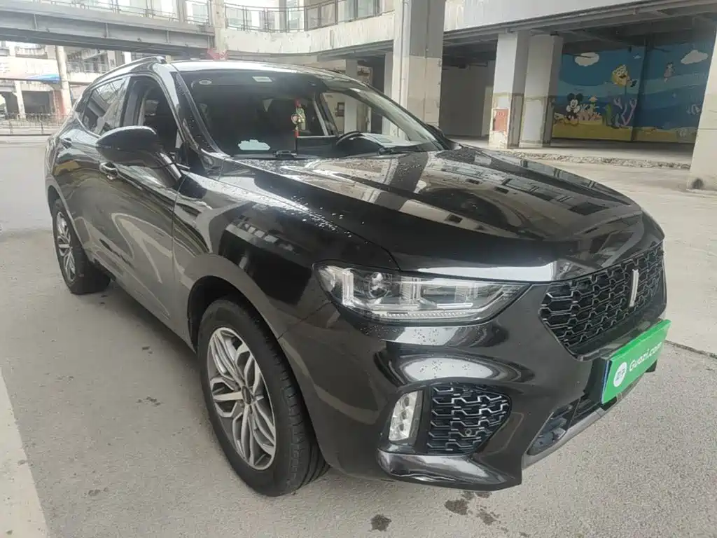 WEY VV5 2.0 T Super Luxury