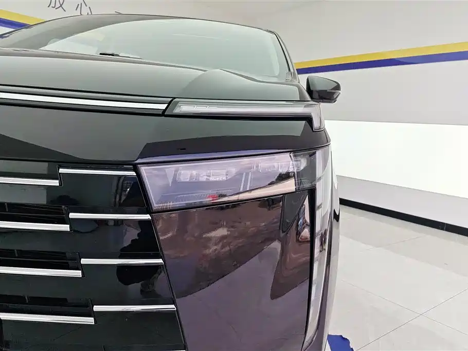 Trumpchi E8 Glory Series 2.0 L Glory
