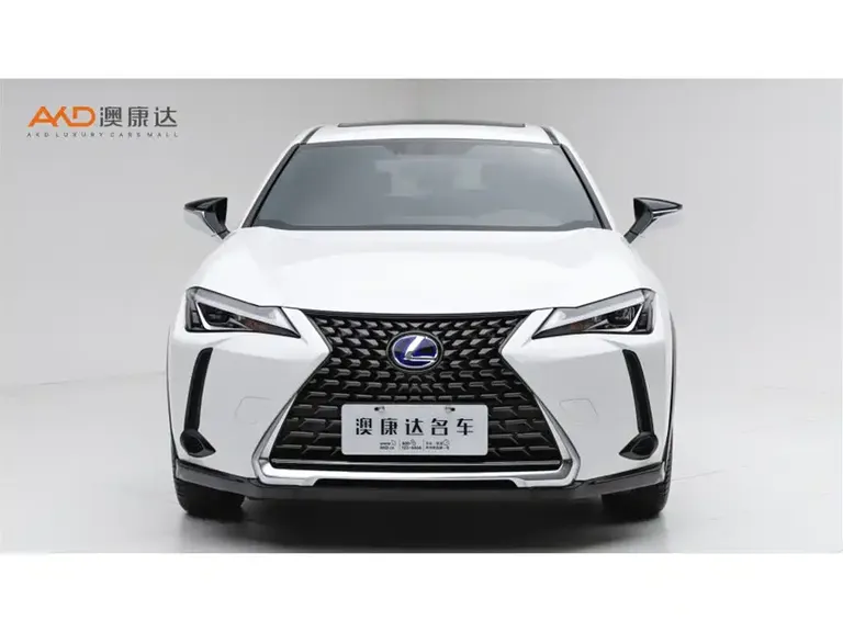Lexus UX 雷克萨斯UX2019款 260 h 探·趣版 国V