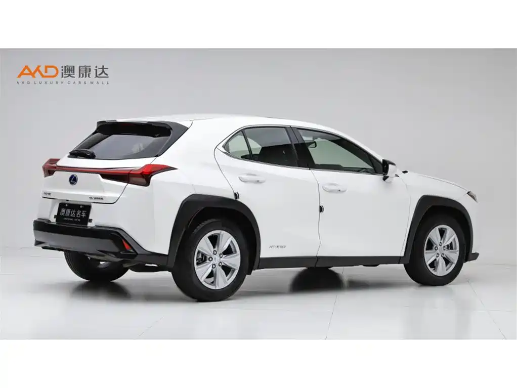 Lexus UX 雷克萨斯UX2019款 260 h 探·趣版 国V