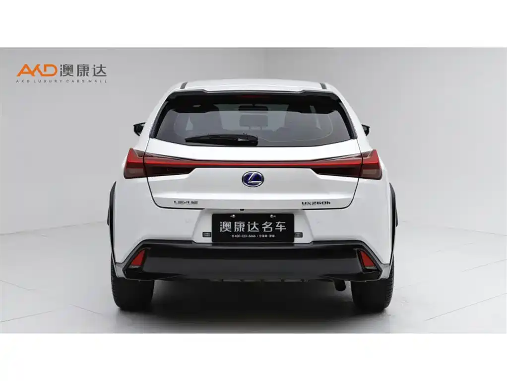 Lexus UX 雷克萨斯UX2019款 260 h 探·趣版 国V