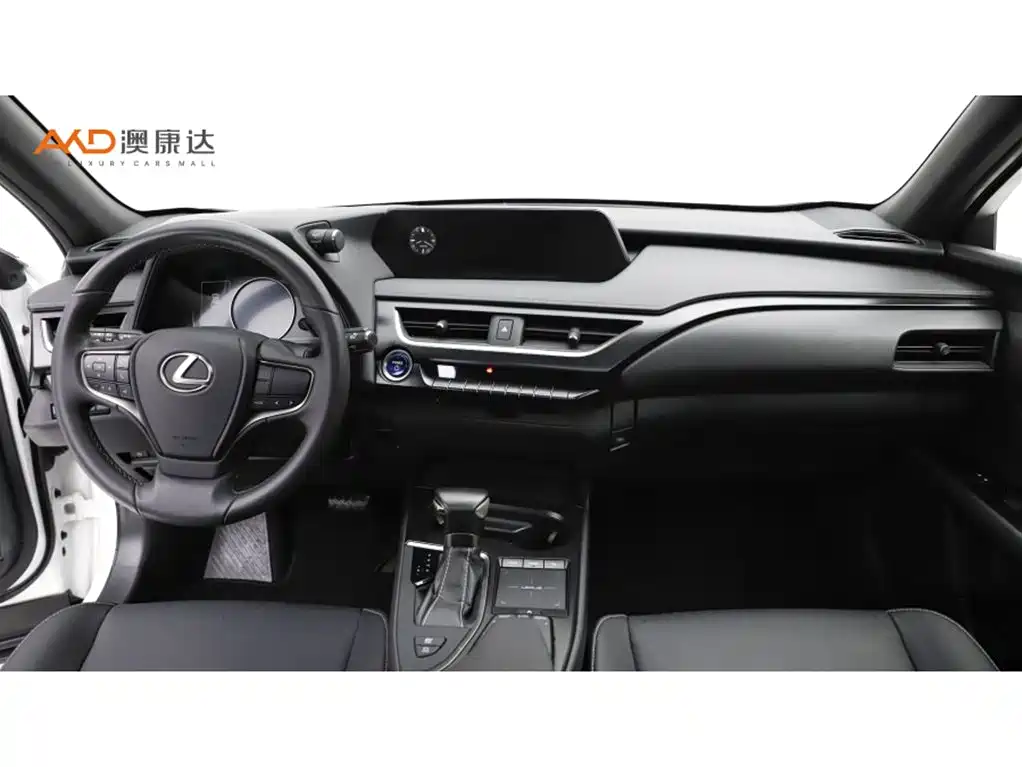 Lexus UX 雷克萨斯UX2019款 260 h 探·趣版 国V