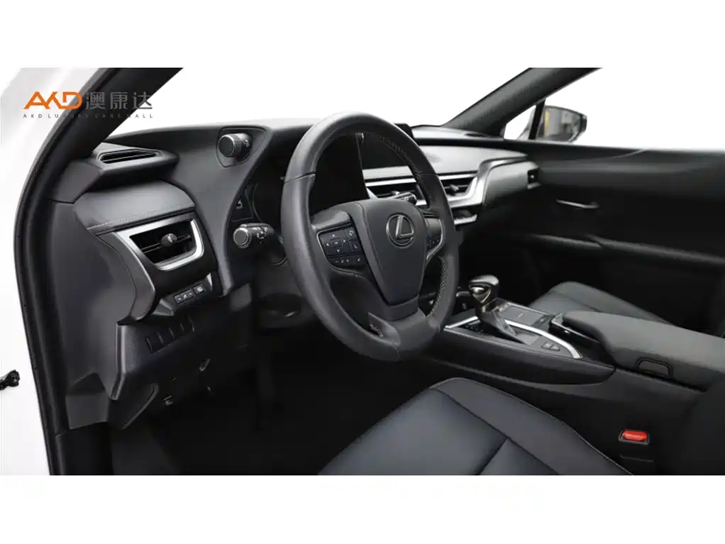Lexus UX 雷克萨斯UX2019款 260 h 探·趣版 国V