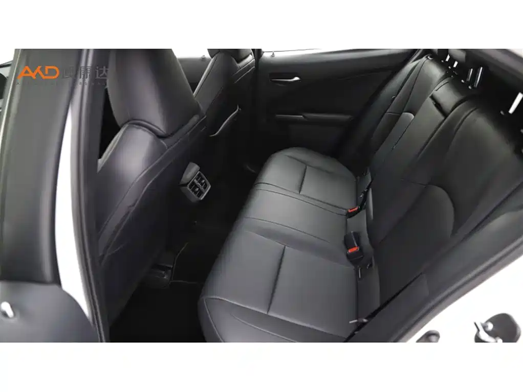 Lexus UX 雷克萨斯UX2019款 260 h 探·趣版 国V