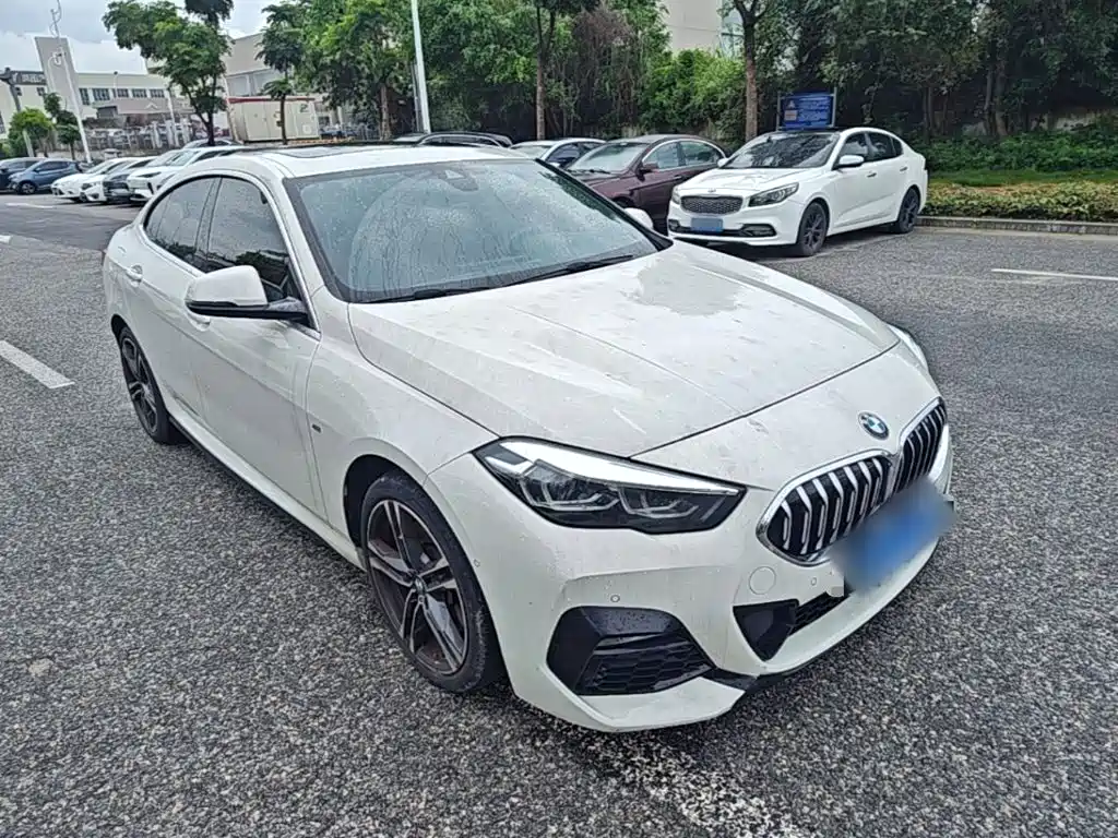 BMW 2 Series (Import) 225 i 4-door Coupe M Sport Package