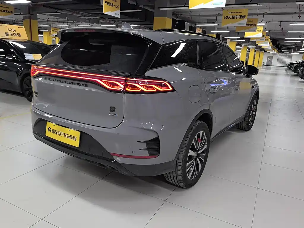 Tang NEV Smart Drive DM-i 175 KM Distinguished