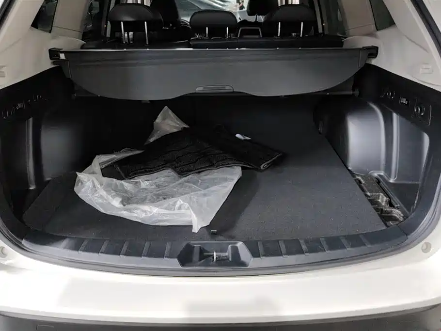Forester 2.0 i Luxury EyeSight