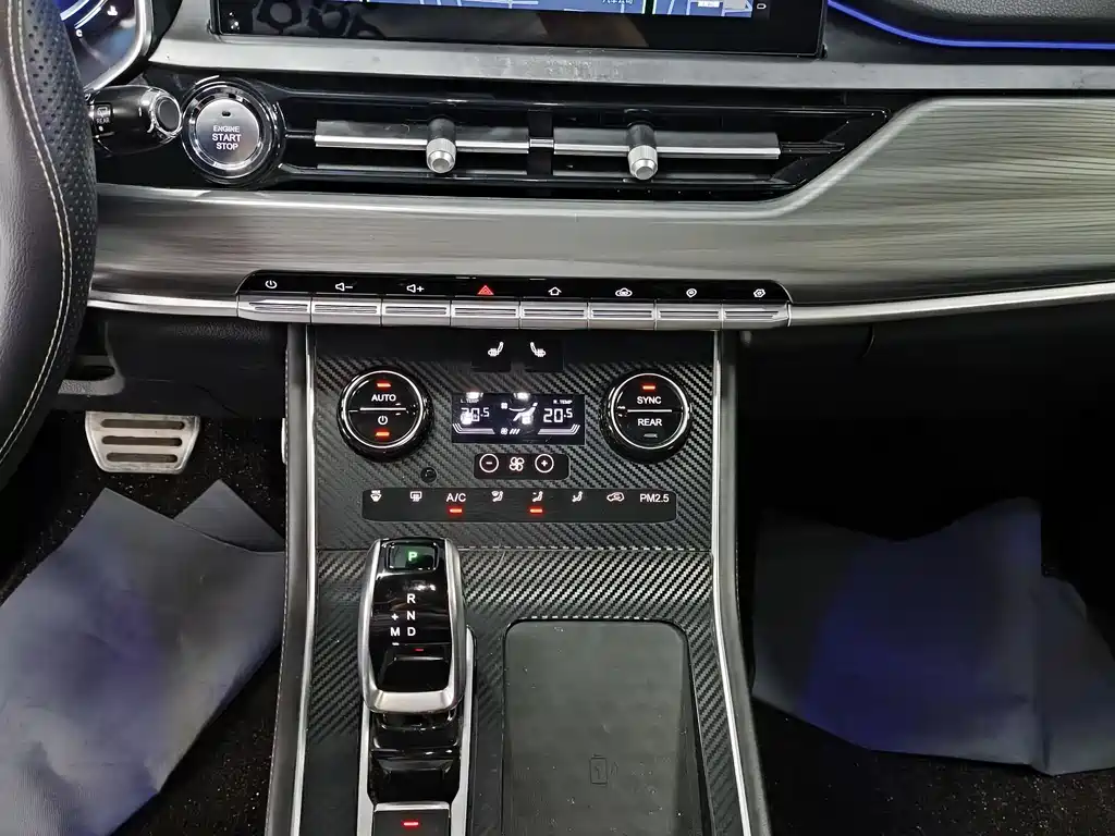 Tiggo 8 瑞虎8 2020款 290 TGDI 自动尊贵版