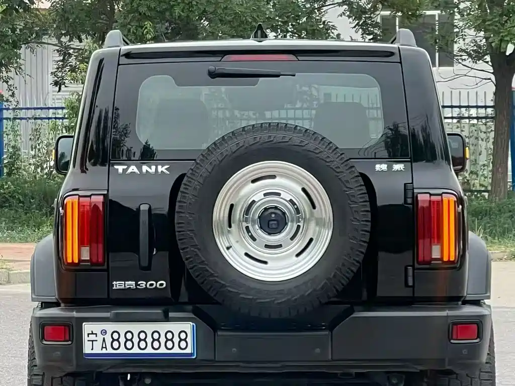 Tank 300 Offroad 2.0 T Conqueror