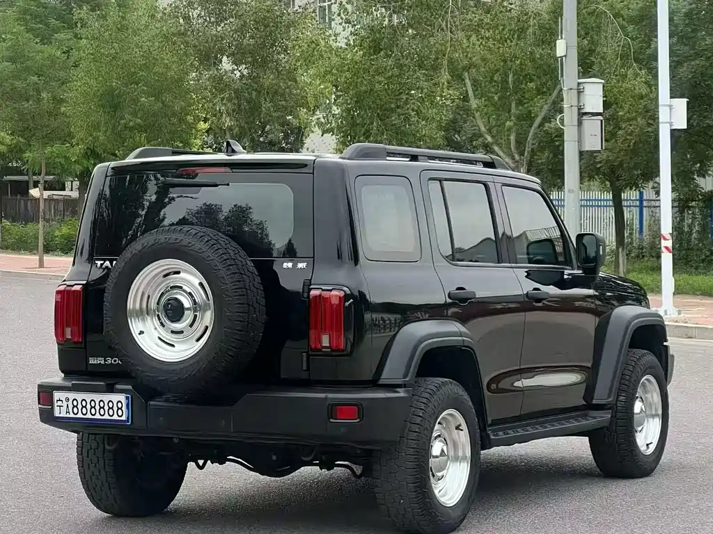 Tank 300 Offroad 2.0 T Conqueror