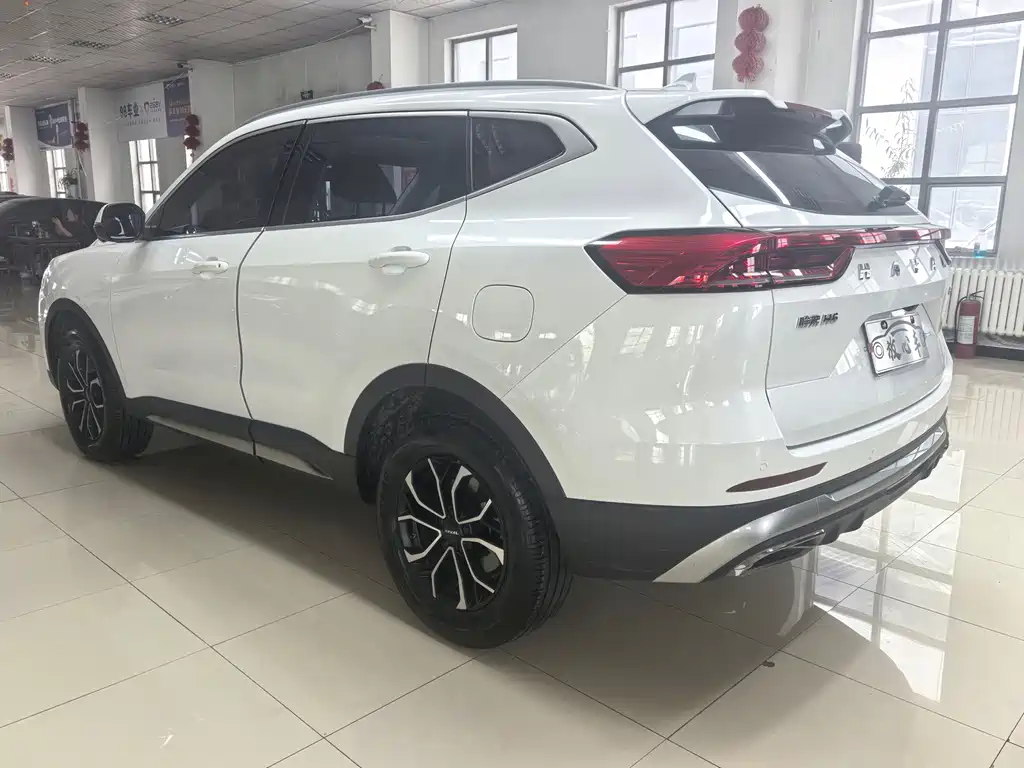 Haval H6 China Style 1.5 T Auto Urban