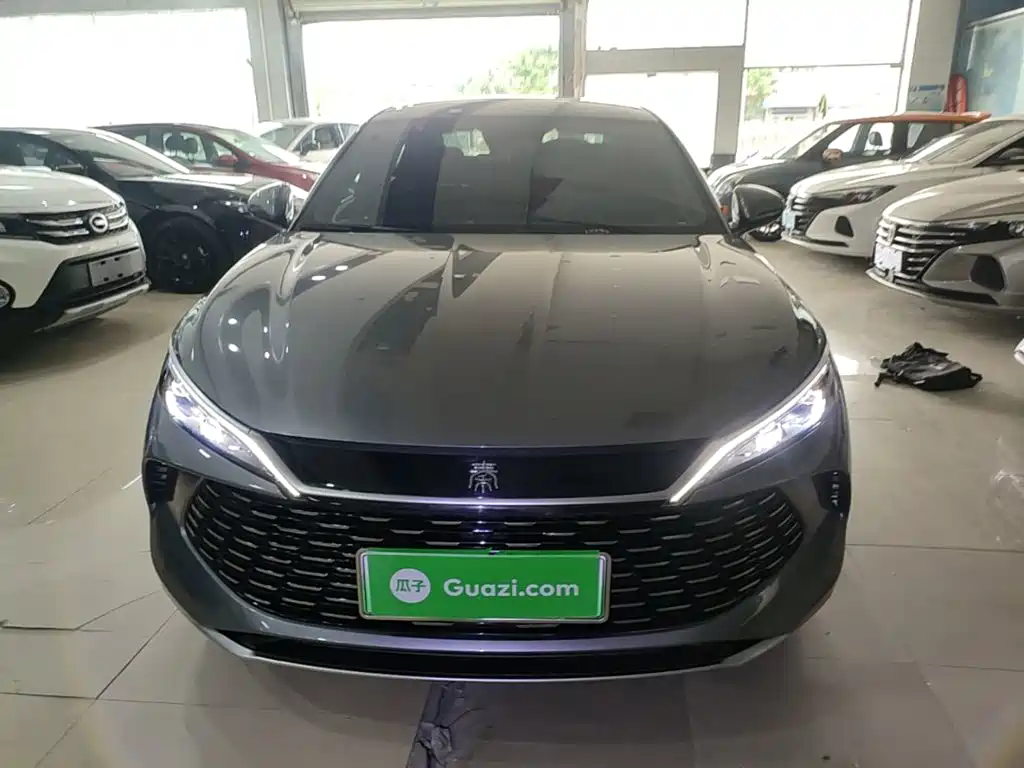 Qin L DM-i 80 KM Transcend