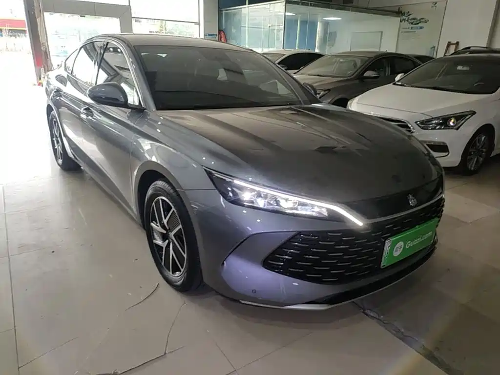 Qin L DM-i 80 KM Transcend