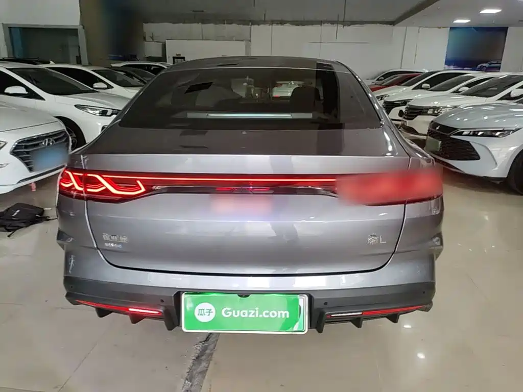 Qin L DM-i 80 KM Transcend
