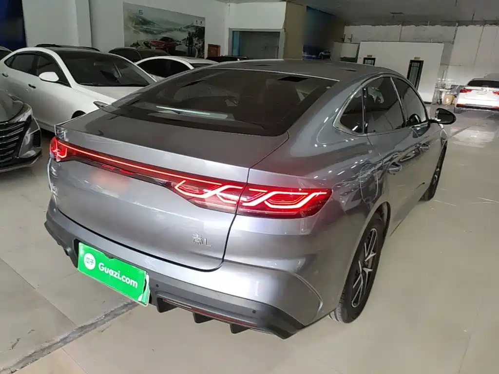 Qin L DM-i 80 KM Transcend