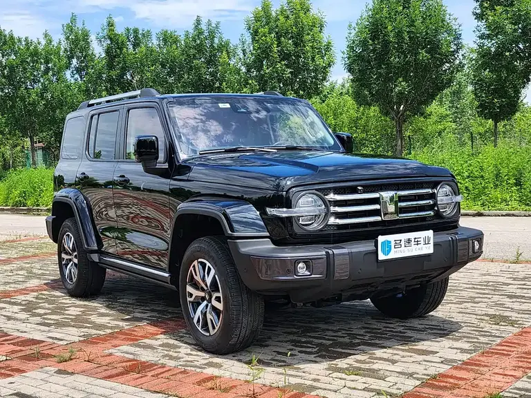 Tank 300 City 2.0 T Very