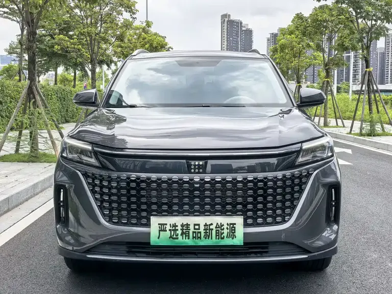 Landian E5 蓝电E5 2024款 荣耀版 100 KM畅享型 5座