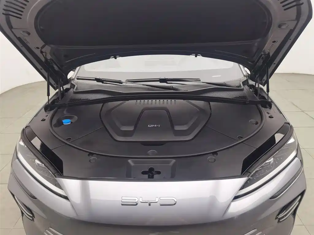 Song PLUS NEV Glory DM-i 110 km Flagship
