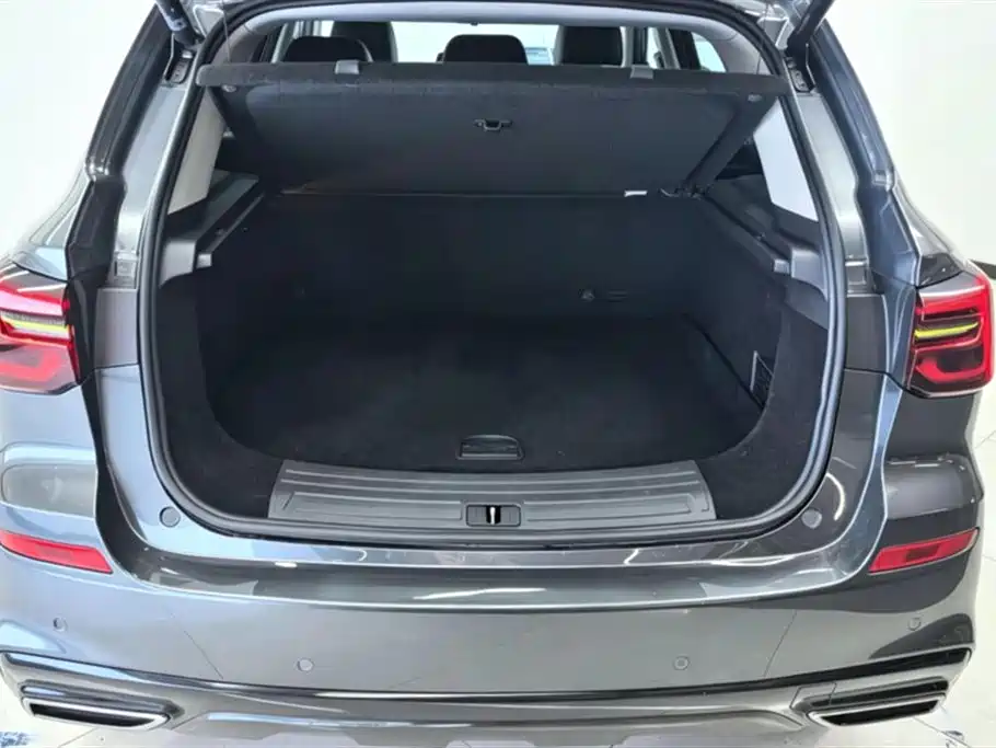 Roewe RX5 NEV 荣威RX5新能源 2021款 ePLUS 国潮荣麟豪华版