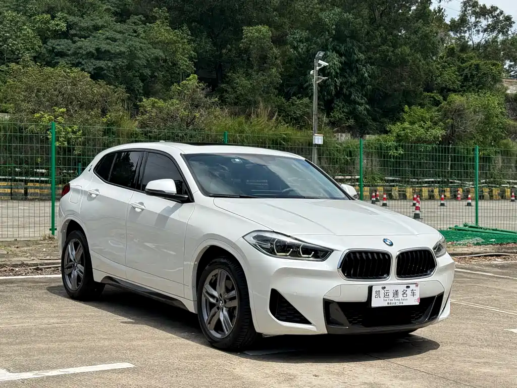 BMW X2 xDrive25 i M Sport Package